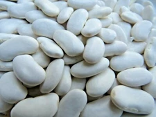 Alaric (Tabais)  large, succulent white bean ideal for soups and stew