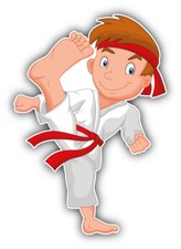 Funny Karate Boy Fighter Cartoon Car Bumper Sticker Decal