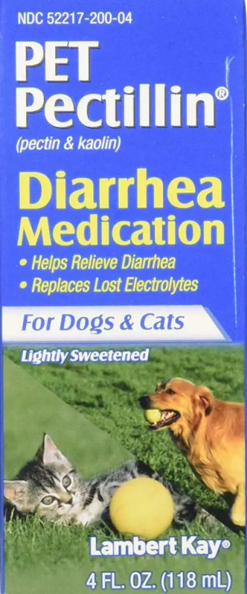 Medication for top diarrhea for dogs
