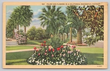 California Residential District Palms And Flowers Linen Postcard Posted