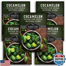Survival Garden Seeds - 5 Packs Cucamelon Seeds for Planting with Instruction