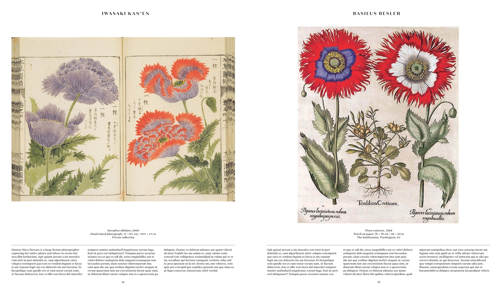 Thumbnail - Plant: Exploring The Botanical World, Phaidon Editors