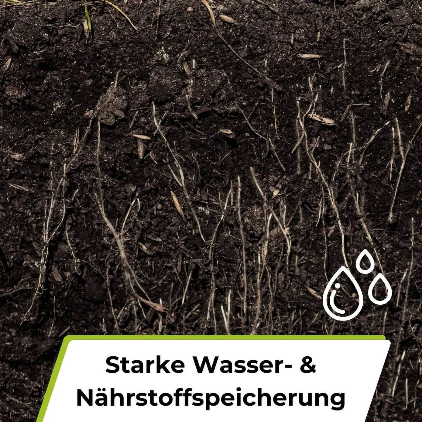 Bild 9 von 9