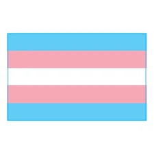 Transgender Pride Flag Car Magnet Decal, 5x8 Inches, Pink, Blue, and White