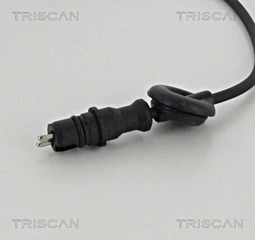 Imagen 2 de 3