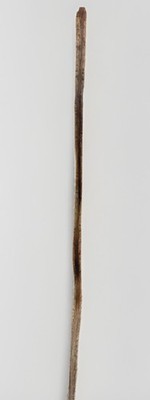 VTG Weathered Driftwood Skinny Tall Walking Stick 63.5'' Strong Staff OOAK Raw MN