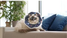 Cat Recovery Collar Soft Cotton Neck Cone Collar Pet Protective Adjustable Large
