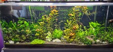 Custom 120 gallon .5 Tsunami Acrylic Aquarium...