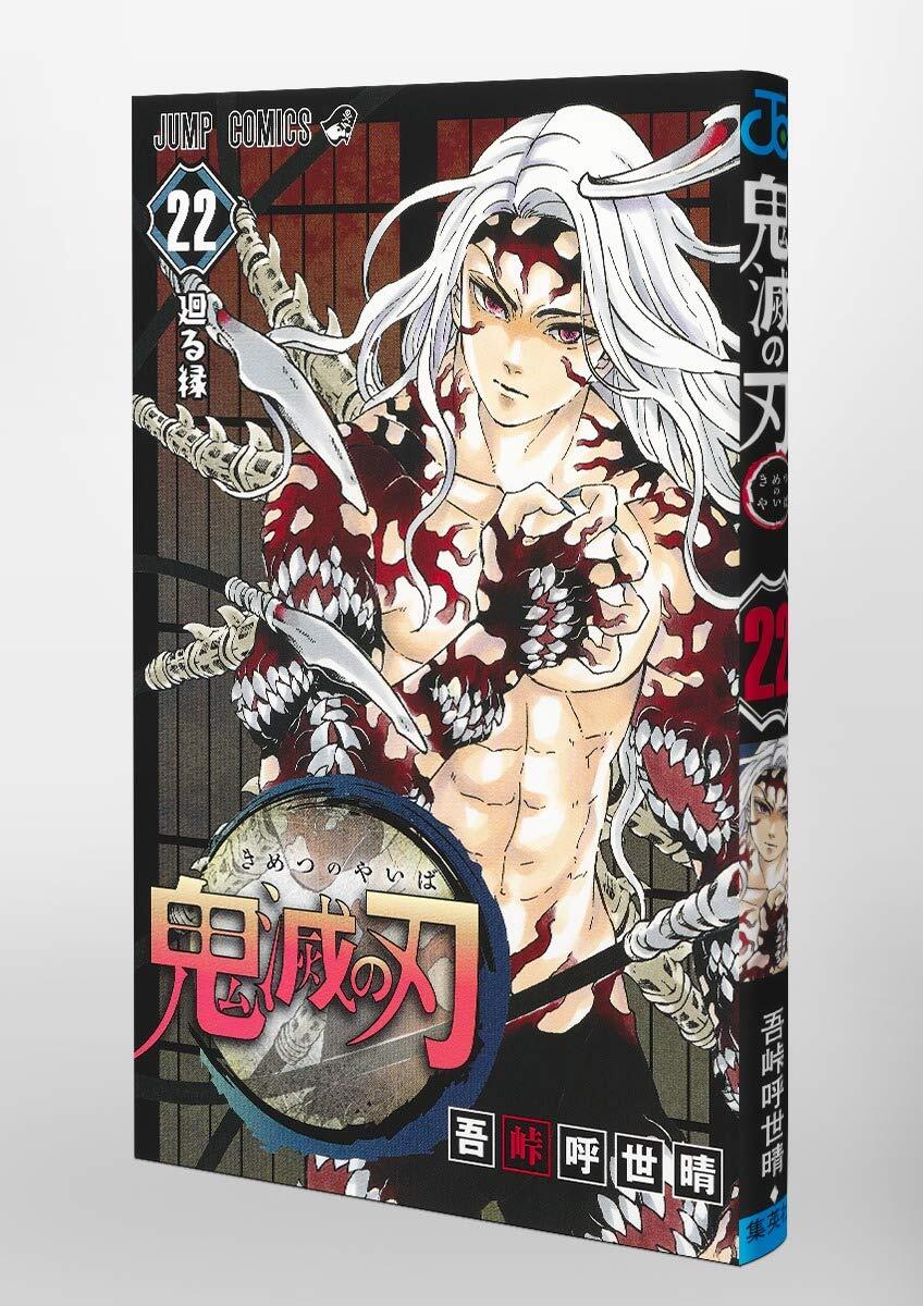 鬼滅の刃 22 Demon Slayer: Kimetsu no Yaiba vol.22 Shueisha Koyoharu Gotoge