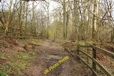 Photo 6x4 Track to the Temple Gatehouse of Fleet  c2015