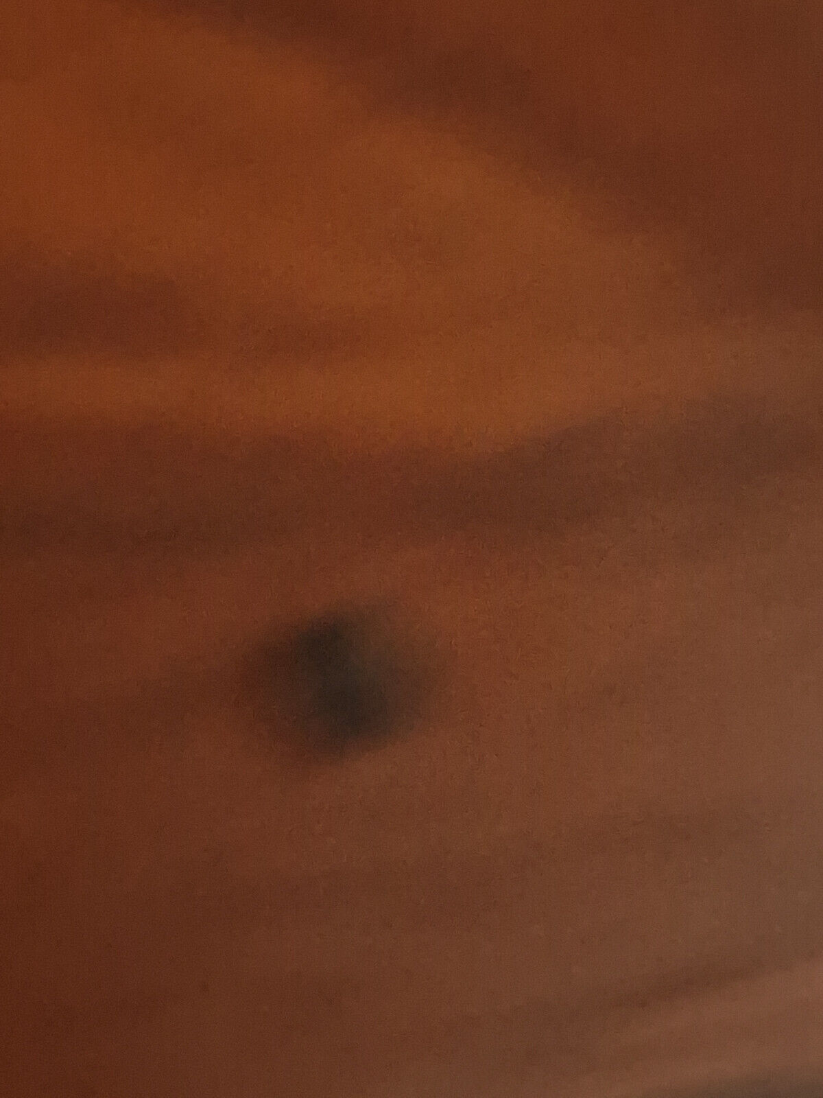 Bild 4 von 6