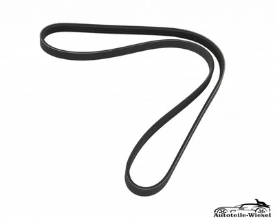 Keilrippenriemen 1058Mm für Fiat Renault Hyundai KIA Lancia Mitsubishi ab 94-> - Bild 1 von 4