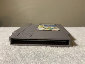 Teenage Mutant Ninja Turtles Nintendo NES 1989