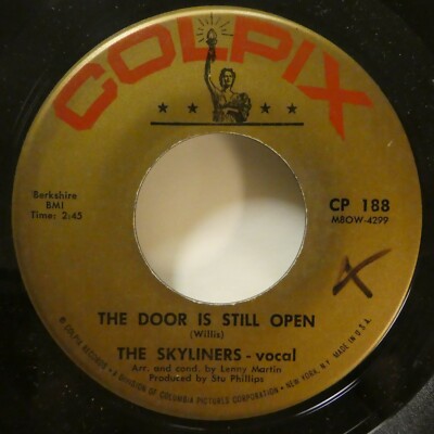 SKYLINERS 45 I'll Close My Eyes/ The Door Is Still Open COLPIX doo-wop VG+ #1238