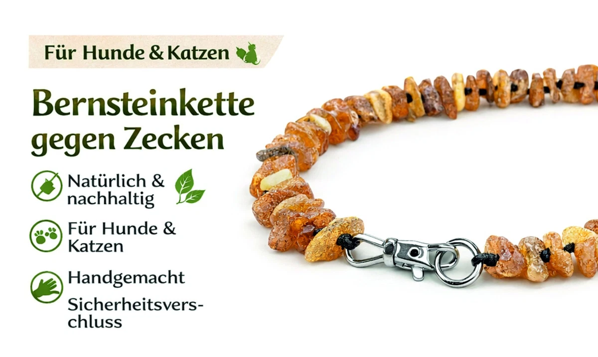 Bernstein-Hundehalsbnder online kaufen | eBay.de