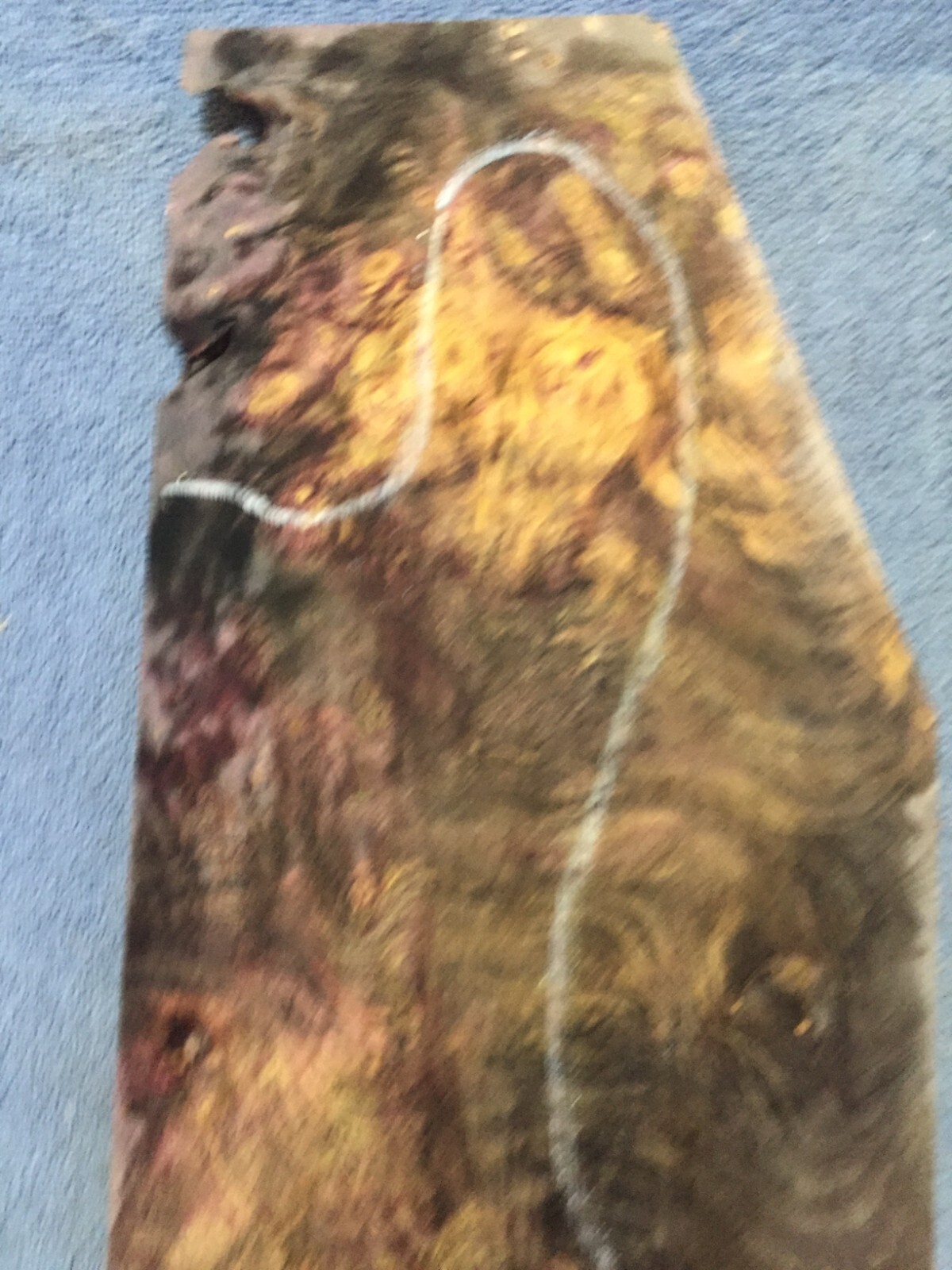 Picture 4 of 10