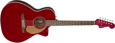 FENDER Newporter Player Acoustic Guitar Electric Neck /Headstock