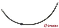 T 61 050 Brembo Bremsschlauch FüR CitroËN