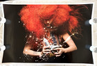 Bjork- Autograph/Signed Lithograph, 24"x36", Cosmogony, LAST ONE!, Mint Cond. — photo 1