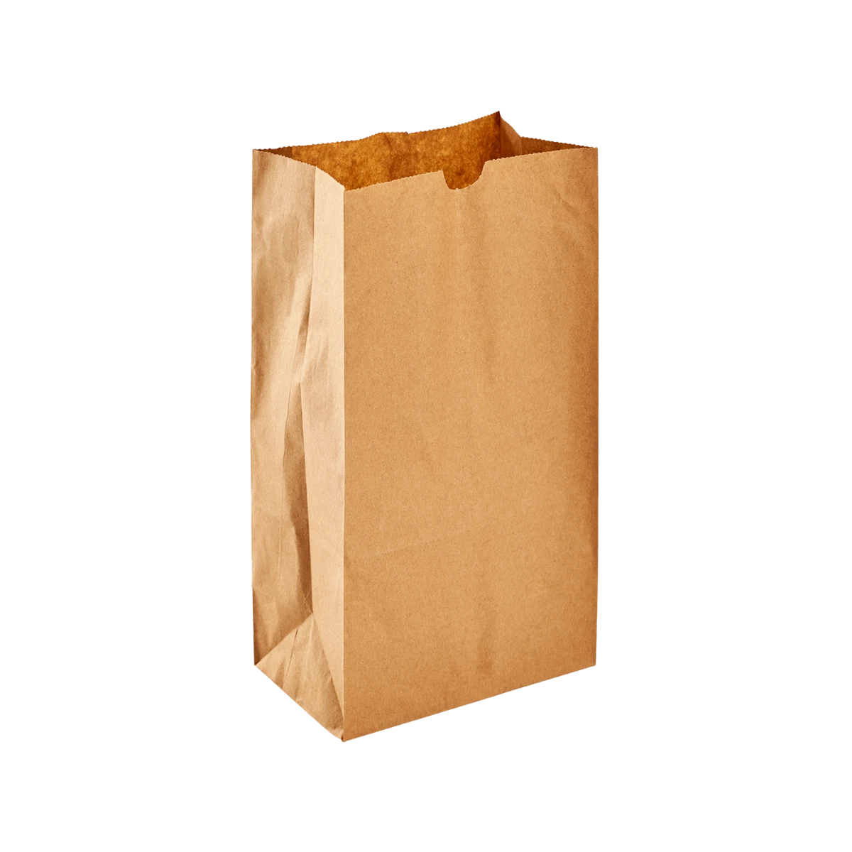 Share 147+ kraft paper bag manufacturers usa super hot esthdonghoadian