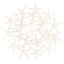 TaoQ 24 PCS Natural White Starfish 2.5-4 Inch Seashells for Crafts Decor
