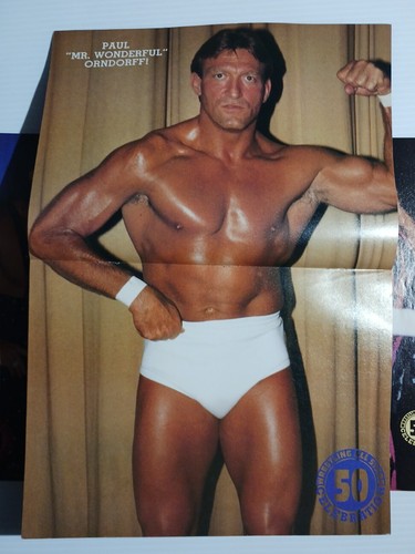 Póster de Paul Orndorf Wrestling All Stars Heroes & Villains No.50 diciembre 1991... - Imagen 3 de 6