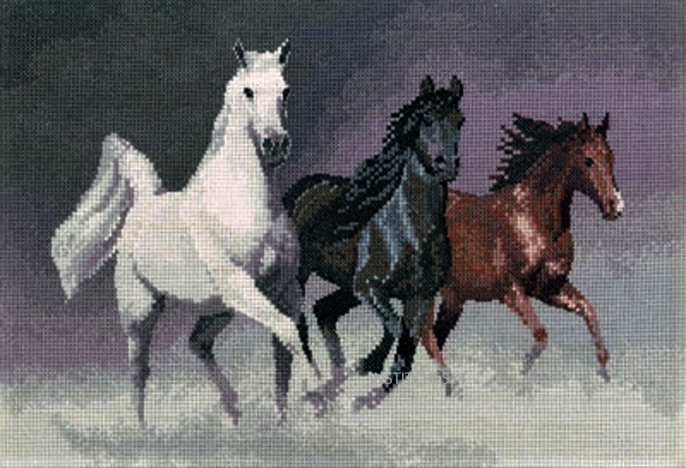 Heritage Crafts Cross Stitch Kit - Power and Grace - Wild Horses