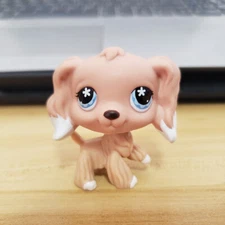 Mini Pet Toy Rare LPS Collection #568 Cocker Spaniel Dog Flower Eyes Brown Puppy