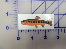 Golden Trout Fish Native  vinyl custom car truck time decal Realistic Reflective