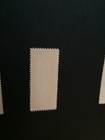 Foto 3 di 4