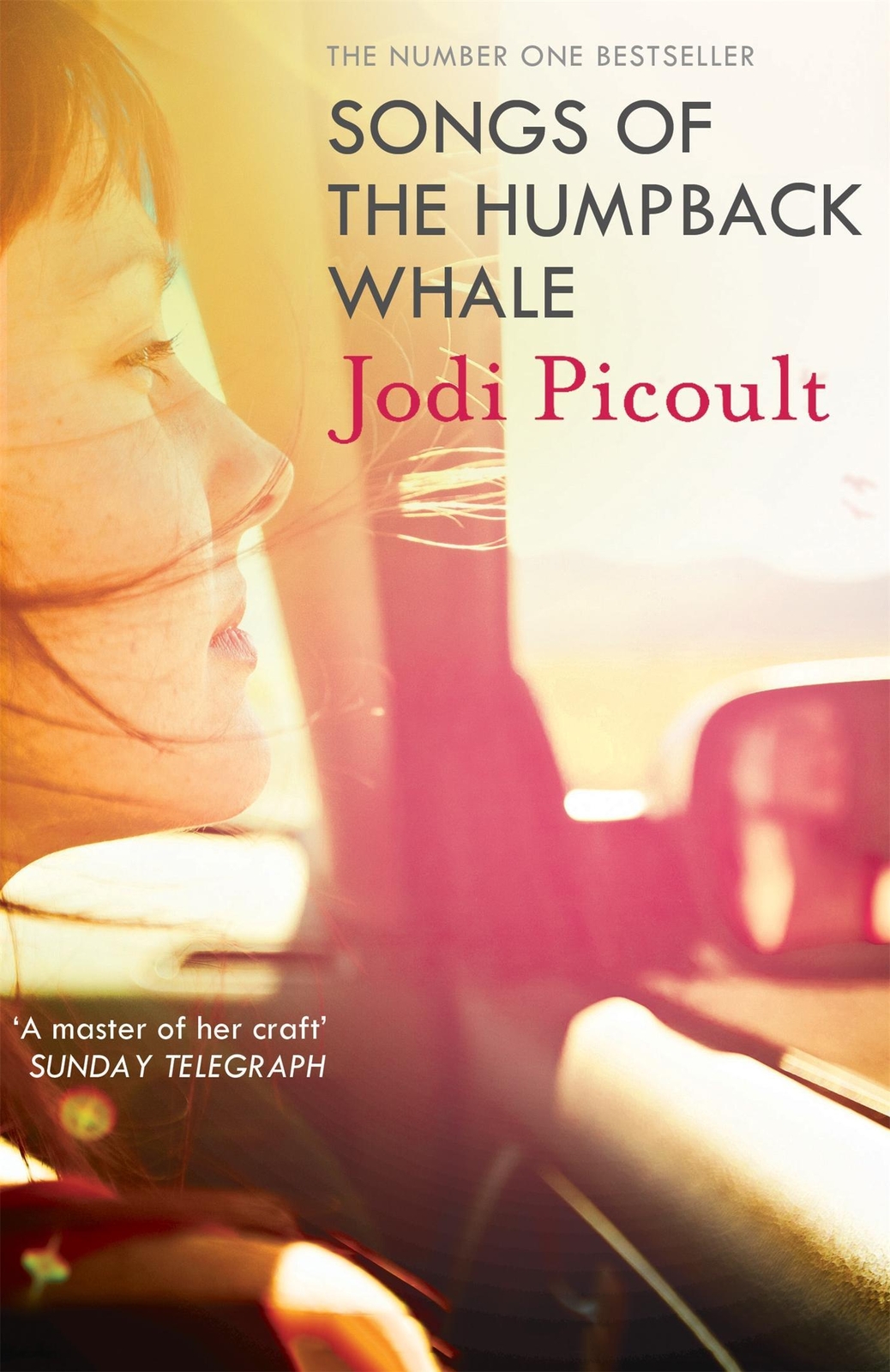 Thumbnail - Songs Of The Humpback Whale, Jodi Picoult