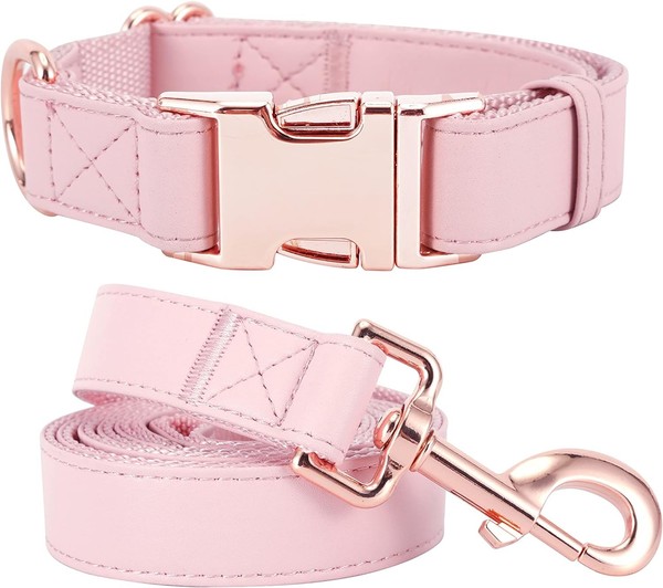 Hundehalsband Und Leine. Weiches Und Leicht Zu Reinigendes, Veganes Leder Mit-image