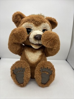 FurReal Friends Cubby der neugierige Bär interaktiver Spielzeugbär Hasbro getestet