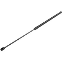 NTY Gasfeder Heckklappe FüR CitroëN C4 Picasso II DD Hdi/E-Hdi 3D_ Bluehdi 130
