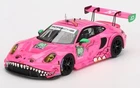 1:43 Porsche 911 GT3 IMSA Michelin GT Challenge at VIR 2023 TRUESCALE TSM430814