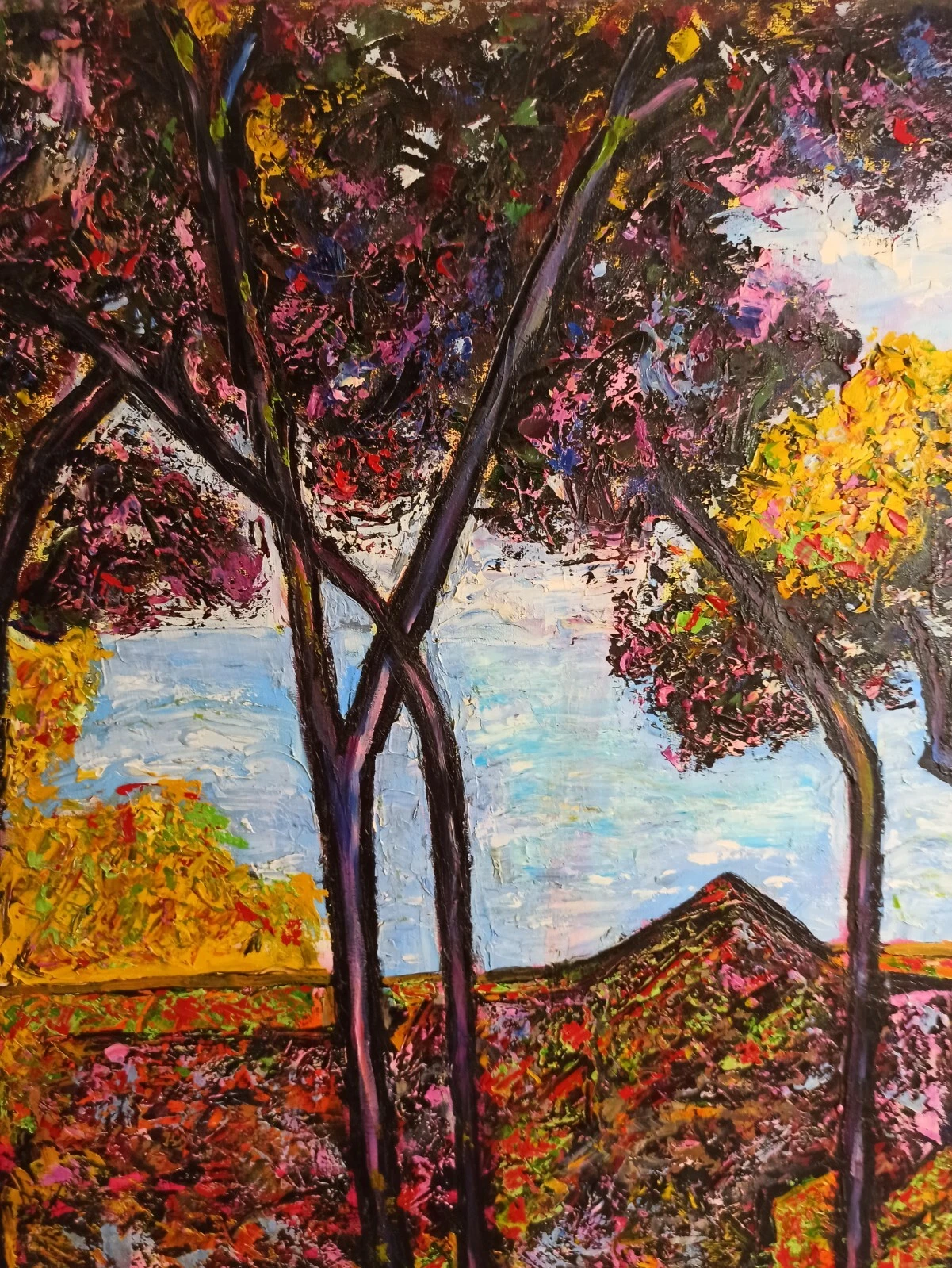 Picture 5 of 12