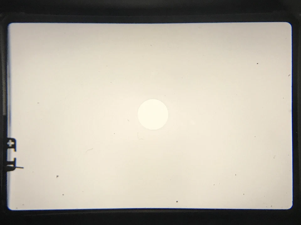 [OTTIME CONDIZIONI con cinturino] Olympus OM-1 fotocamera reflex argento pellicola 35 mm solo corpo dal GIAPPONE - Immagine 4 di 4