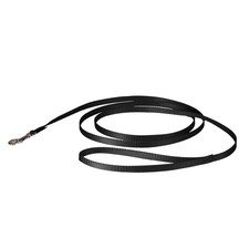PetSafe Nylon Dog Leash Strong, Durable, Traditional Style Lead with Easy to Use