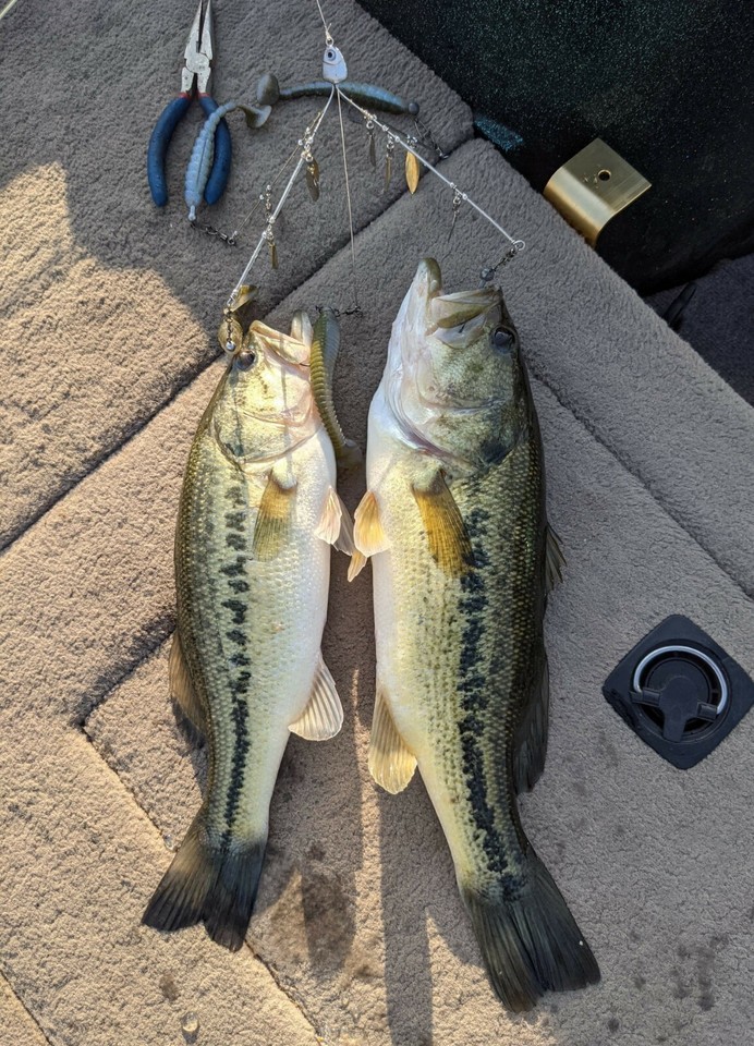 3 Wire 6 Blade High Quality Alabama / Umbrella / A Rig / Tennessee Rig eBay