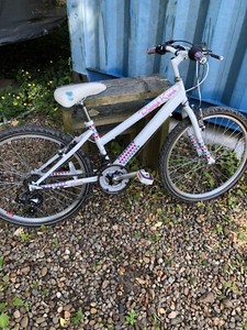 raleigh girls mountain bike