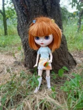 Takara 12" Neo Blythe Nude doll white skin dudu lips short bobo hair Joint body