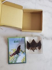 REAL Bat In Resin Block Bat Oddities Weird Strange Odd Creepy Bizarre Mystical