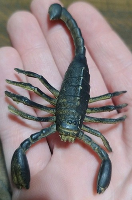 #ad Kids Animal Toy Scorpion Tan Black 3.5quot; $10.94
