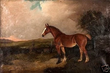 Colin Graeme Roe (British, 1858-1910) Original Signed Oil Painting c.1894, Horse