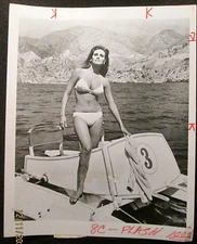 RAQUEL WELCH: (ORIGINAL VINTAGE PHOTOS,SEXY,CANDID,FILMS)