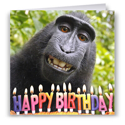 Funny Monkey Birthday Card | eBay