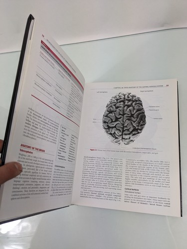 Neuroscience for the Study of Communicative Disorders, Fourth Edition - Picture 7 of 13