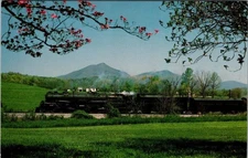 Norfolk & Western 1218 Steam Engine Blue Ridge Mountains Postcard 1987