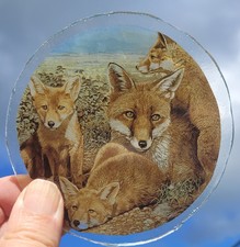 Stained glass Fox roundel kiln fired piece 10 cm