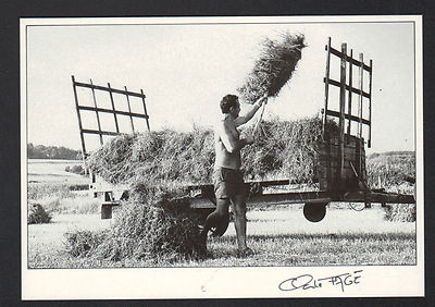 AGRICULTURE / ALFALFA HARVEST in 1992 / FAGE 92.475